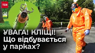 ❗❗ Краще ПОЧЕКАТИ і не гуляти! У Києві почали обробляти парки! Загроза кліщів!