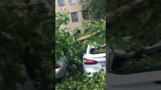 Последствия урагана в Москве 29.05.2017 (2)