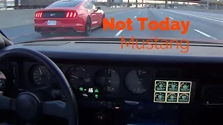 2 Mustangs vs 1 Transam...Whytry?