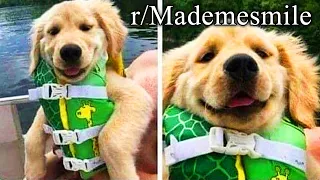 r/Mademesmile | click to instantly say "awww"