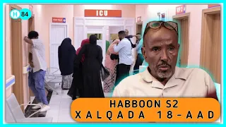 Habboon S2 Ep18: "Dadkii Dhintay Waa dhinteen Inta Nool Dhaqana Ayeey Rabaan "