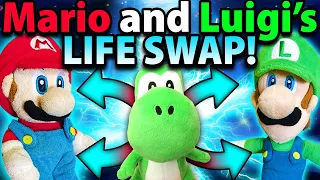 Crazy Mario Bros: Mario and Luigi's Life Swap!