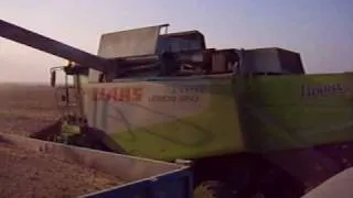 CLAAS Lexion 550 unloading