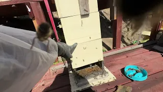 Японский улей - Japanese hive.