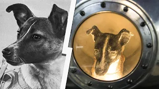 Sad Story of Laika, The Space Dog