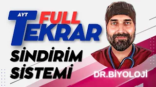 #Sindirim Sistemi AYT Biyoloji Full Tekrar | 2024 | #drbiyoloji