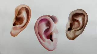 How to paint "Ears" in watercolor.