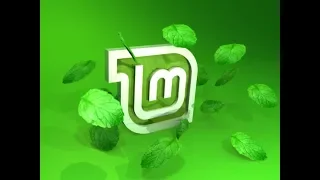 Чистая установка Linux Mint. ОС будет единственной на жестком диске