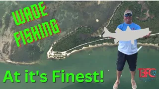 Wade Fishing Tampa Bay!  (Emerson Point)