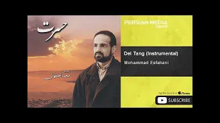 Mohammad Esfahani - Del Tang - Instrumental ( محمد افهانی - ذل تنگ - بی کلام )