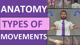 Body Movement Terms Anatomy | Body Planes of Motion | Synovial Joint Movement Terminology