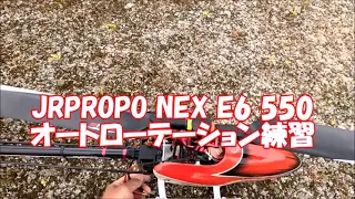 JRPROPO NEX E6 550 オートローテーション練習