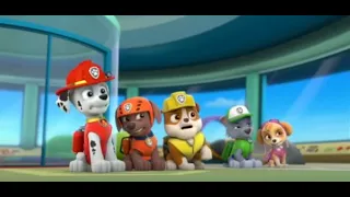 PAW Patrol: The Pups Are Arguing Over Who Does What to Find Ryder. (Part 1/2).