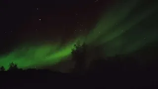 Aurora at  Malangan, Tromso,Norway         November 2022