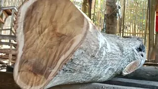 Brilliant idea sawing hard acacia wood on a sawmill