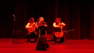 Asturias (Leyenda) – Dance, Guitar, Cello - ¡Con Fuego!