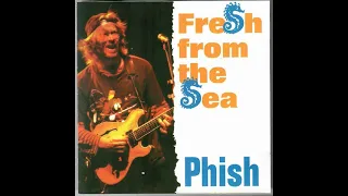 Phish 6-13-94 slave to the traffic light