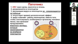 С. А. Лисовская. Медико-биологический факультет. Возбудители вирусных гепатитов