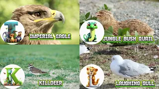 ABC Bird Animals song | Learn Alphabets | English and Animals for Kids | Alphabets Kids Song