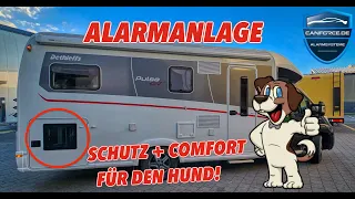 🐶HUNDE IM WOHNMOBIL: SCHUTZ + COMFORT | DETHLEFFS PULSE GT GARAGE WOHNMOBIL 2023 ALARMANLAGE