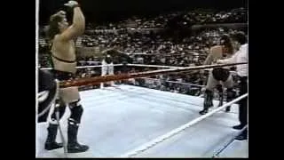 Demolition Smash & Crush vs jobbers WWF PTW 1990.mpg