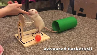 Spice the Rat Trick Compilation!