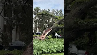 Ron DeSantis Says Family 'Fine' After Tree Falls On Governor's Mansion