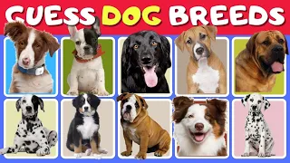 Guess The Dog Breeds 🐶  | Animal Quiz