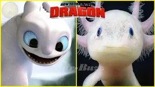 How To Train Your Dragon Characters In Real Life | How To Train Your Dragon 3 In Real World