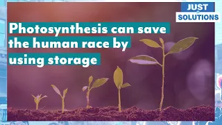 Photosynthesis can save us with storage