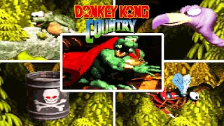 DONKEY KONG COUNTRY - ALL BOSS FIGHTS / ALL BOSSES & ENDING (NO DAMAGE)