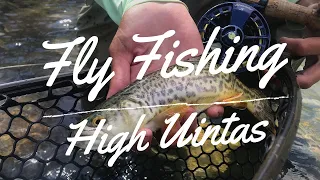 Fly Fishing High Uintas | Utah (4K)