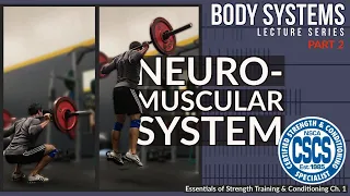 Neuromuscular System - Rate Coding, Motor Units, & Fiber Types | CSCS Chapter 1