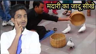 कैसे आया टोकरी में कबूतर, मदारी का जादू सीखें World's Famous Illusion Revealed