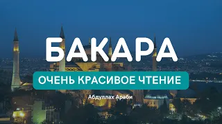 АЛЬ БАКАРА СУРА - ОЧЕНЬ КРАСИВОЕ ЧТЕНИЕ, ЗАЩИТА ВАС И ВАШЕГО ДОМА ОТ ВСЕГО ПЛОХОГО.