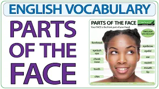 Learn English Vocabulary - Parts of the Face in English - Face Words