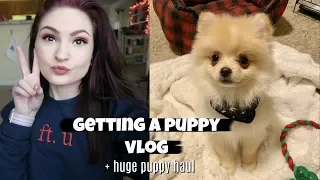 Getting a Pomeranian Puppy 💙VLOG