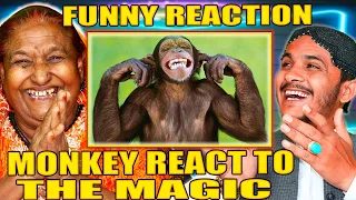 Magical Wonders Unleashed: Tribal People React to Monkeys Respond to Magic Tricks.