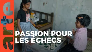 Inde : coups gagnants | ARTE Reportage