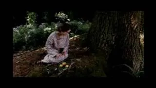 The Hours (opening + bird scene)