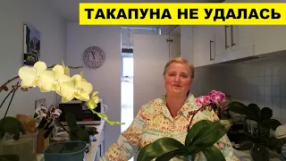 ТАКАПУНА НЕ УДАЛАСЬ..ОБИДНО