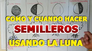 Cuando hacer SEMILLEROS 🥜🌱 usando la Luna🌜