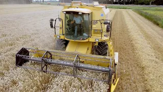 Arnoud van Arkel aan het tarwe combinen met een New Holland TX63 combine.