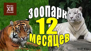 Самый лучший полный обзор Зоопарка 12 месяцев 2020