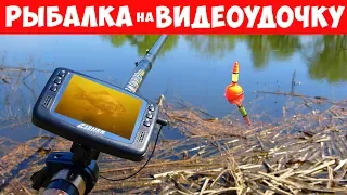 РЫБАЛКА на КАРАСЯ с ВИДЕОУДОЧКОЙ | Серия 3