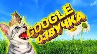 СМЕШНАЯ GOOGLE ОЗВУЧКА. Я ПЛАКАЛ ОТ СМЕХА. ВИДЕО ПРИКОЛ, КОТЫ ПОСЫЛАЮТ ДРУГ ДРУГА, РОБОТЫ 2019 #11