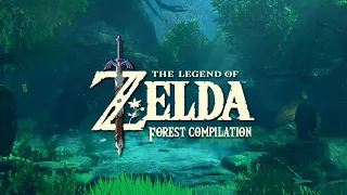 Relaxing Zelda Music in the Forest