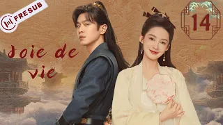 【En Français】Joie de vie 14 Joy of Life💕SerieChinoise ChineseDrama  Asiandrama  YoYoFrenchChannel