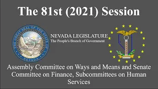 3/23/2021 - Assembly Ways and Means and Senate Finance, Subcommittees on Human Services