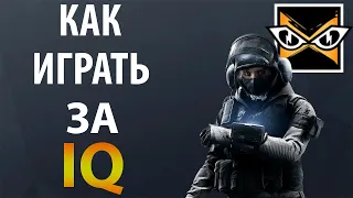 [Гайд] Rainbow Six Siege - Айкью / iq